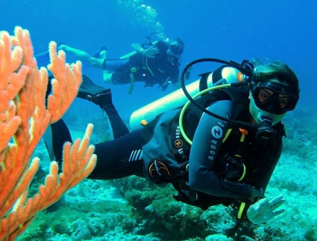  Tauchen zwischen Korallen 